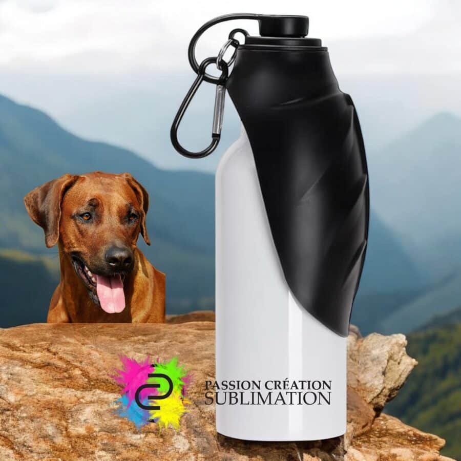 Bouteille pour chien avec distributeur d’eau