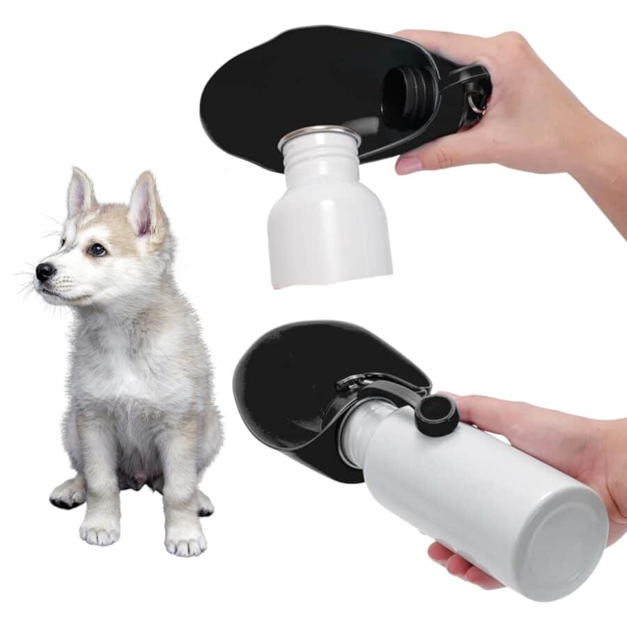 Bouteille pour chien avec distributeur d’eau – Image 3